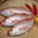 대중생선