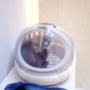 바오그루밍 이미지