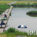 청미천 Daum카페