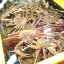 가락시장역6번출입구 이미지