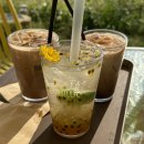 해바라기 | 경주 카페 바실라 해바라기명소 후기