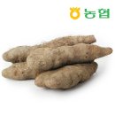 북안동농협 이미지