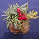 분재전시회 이미지