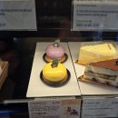 여행 D-2일 이미지