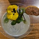 오브제제 | 분위기 좋은 동명동 술집 동명동 칵테일 바 <카프 테일러>