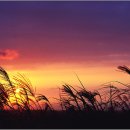 가을찻집 이미지