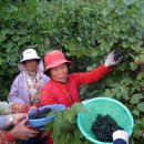 설천면118 이미지