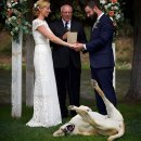 마! 주인 이미지