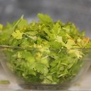 고수 카카오 검색결과