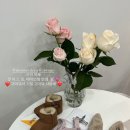 헤이도네일