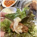 멜로브뷰티