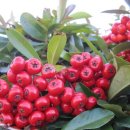 2호선 장산역 12번 출구 이미지