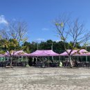 녹산동 행정복지센터 이미지