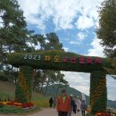 2023 화순 고인돌 가을꽃 축제장 산책 이미지