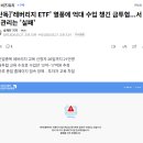 카포스 삼성종합카 | SK하이닉스,삼성전자 단일종목레버리지ETF상장 이 남긴 것(효과)
