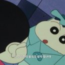보물왕국