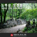 [블랙야크100대 28인승2026년 9월 19일 토요일 ]정선 모정의 탑으로 유명한 노추산 오지산,야생화 산행 안내 이미지