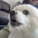 명성가스(주) | 단단한 흙산에 나무가 한 그루도 없네?