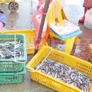 거제농협 하나로마트 이미지