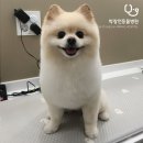 박창언 동물병원 이미지