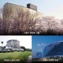 호텔3월 이미지