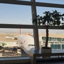 중부-현장-중부-484 | 삐삐앤나 일본 나고야 5박6일 (24.02.08~24.02.13)