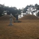 대조2리 이미지