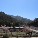 철암관광안내소 이미지