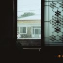 술의식물원