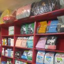 이향애견살롱 이미지