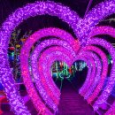 싱그러운청도로(봄) 이미지