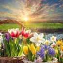 명심보감 이미지