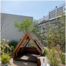 낮은정원 이미지