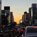 전라도세꼬시 이미지