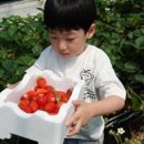 서울농장 이미지