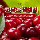 왕체리