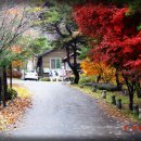 양평밸리 이미지