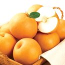 우영농장 이미지