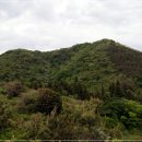 머리이야기 이미지