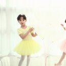 에스텔