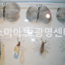 상상아트센터미술학원
