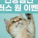 허브동물메디컬센터 네이버블로그