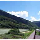 뽕나무민박 | 정선 동강 테라스 민박 (정선 봉양리 뽕나무)(추억 어린 물레방아)