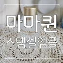 마마퀸 다프넬리아로 달라진 결톤 줄기세포화장품 마마퀸 스템셀앰플 후기