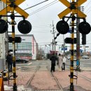 이마트24 군산지곡원룸점 | 군산 애견 동반 여행, 숙소, 식당, 카페(1일차)