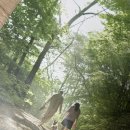 문경파출소 | 문경 지금 어디쯤 가고 있요? [영화 정보, 리뷰/ 후기, 평점, 특전 포스터]