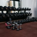 고고 휘트니스 이미지