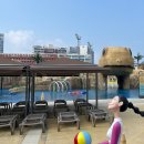 시흥 웨이브파크 워터파크+스쿠버다이빙 체험 후기