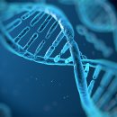 강남-069 | 줄기세포회춘주사, 안티에이징의 끝판왕 효과와 장단점