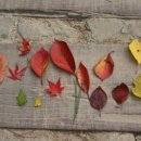 법원중앙외과의원 이미지